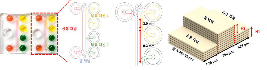 [그림4] 염증-온-어-칩의 채널 구조 및 단일 모듈 모식도