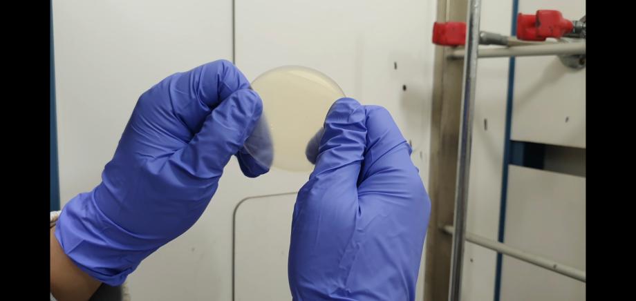 [사진5-1] 연구팀이 개발한 열경화성 고분자 필름