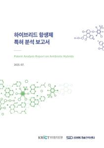 하이브리드 항생제 특허 분석 보고서